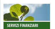 Servizi Finanziari